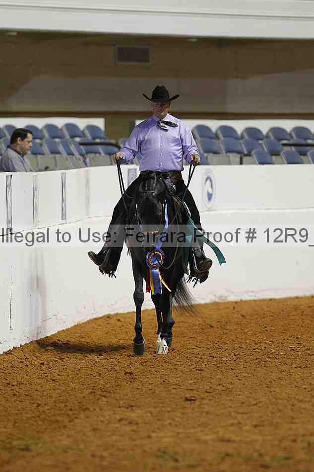 Proof 12r9_2779