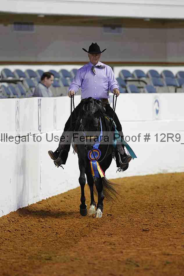 Proof 12r9_2780