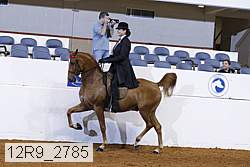 12r9_2785 proof