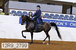 12r9_2799 proof
