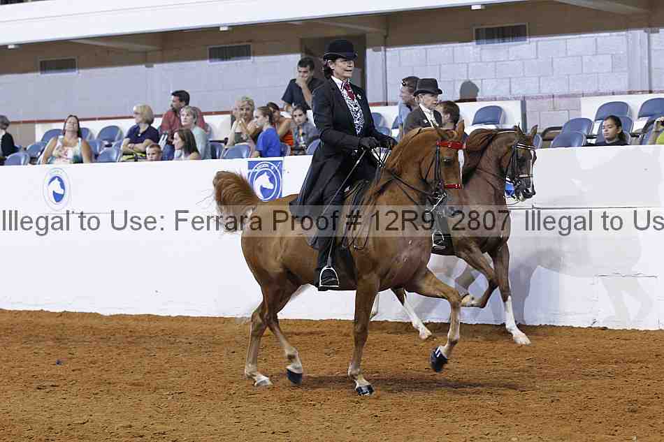 Proof 12r9_2807