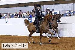 12r9_2807 proof