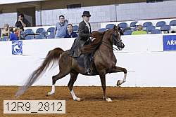 12r9_2812 proof