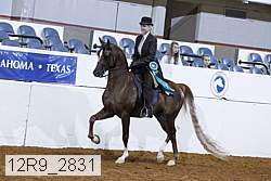 12r9_2831 proof