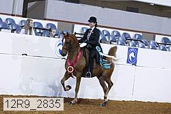 12r9_2835 proof