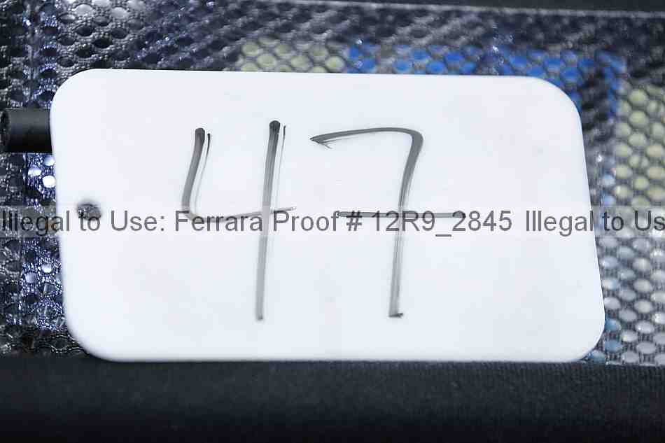 Proof 12r9_2845