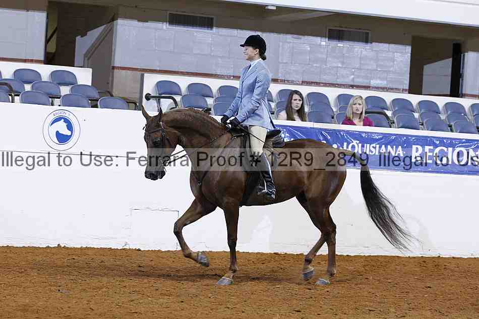 Proof 12r9_2849