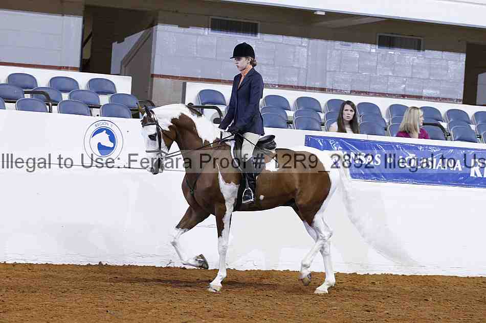 Proof 12r9_2852