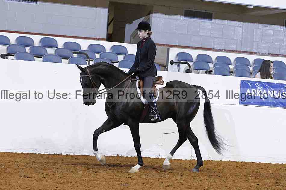 Proof 12r9_2854