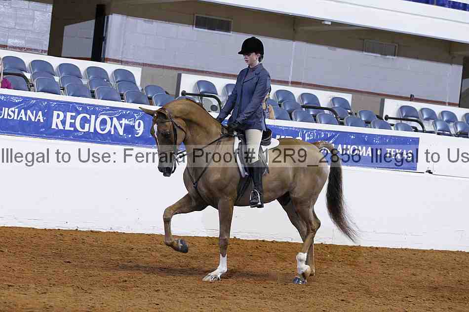 Proof 12r9_2856