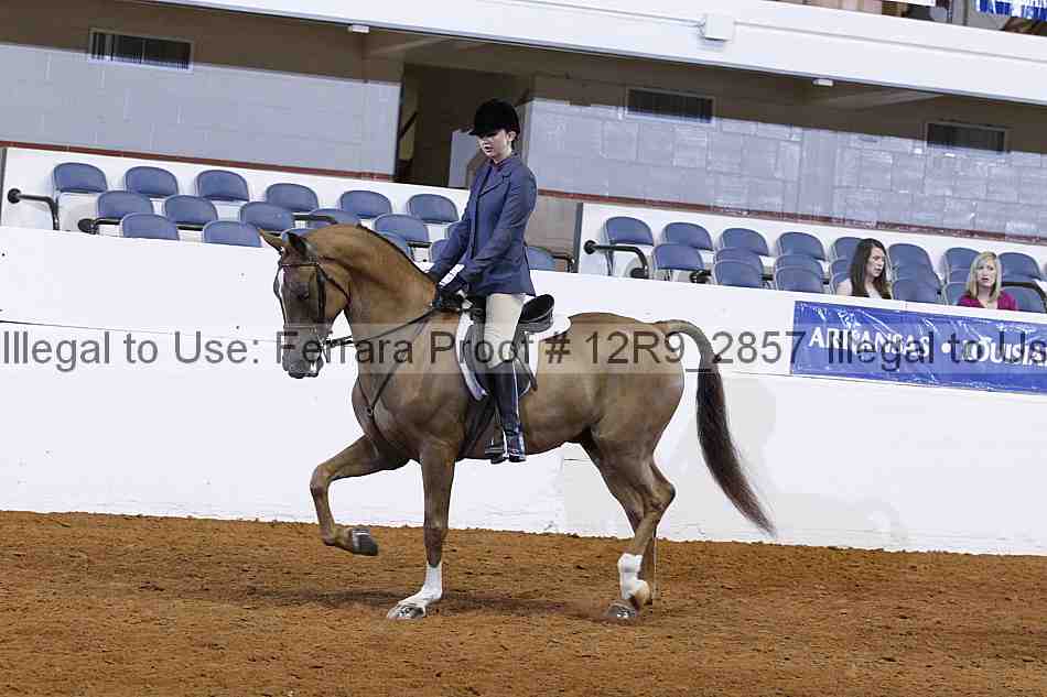 Proof 12r9_2857