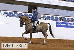12r9_2857 proof