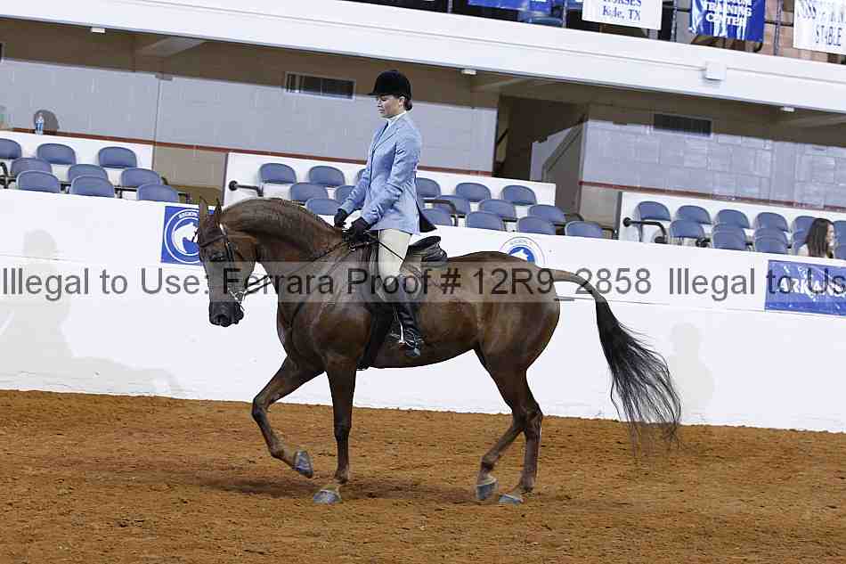Proof 12r9_2858