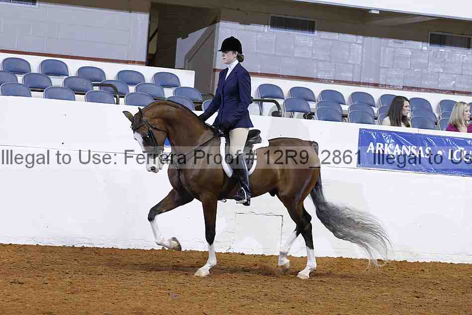 Proof 12r9_2861