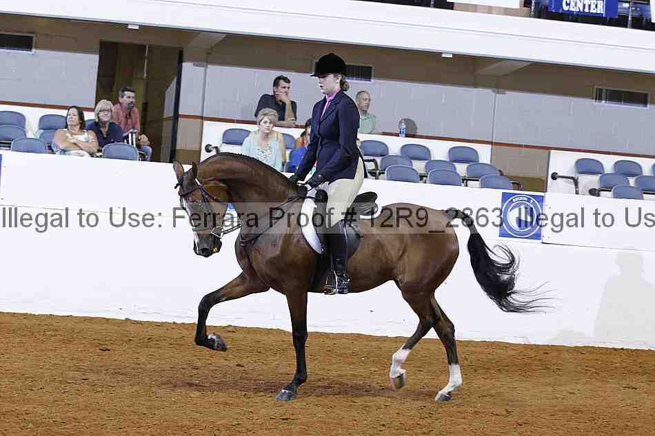 Proof 12r9_2863