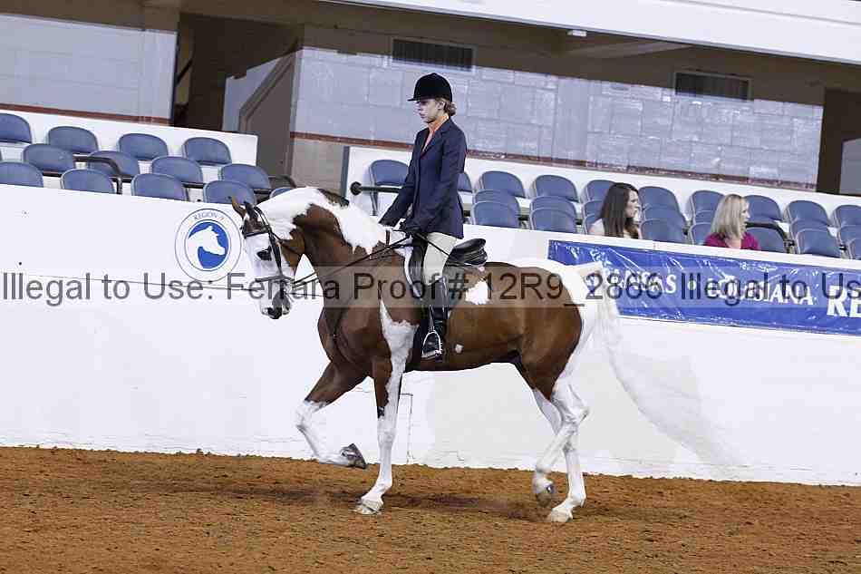 Proof 12r9_2866