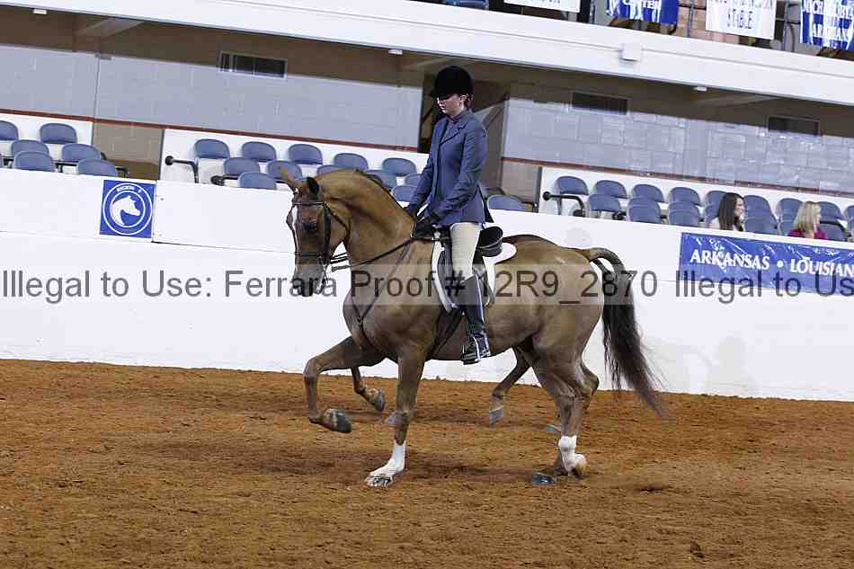 Proof 12r9_2870