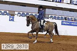 12r9_2870 proof