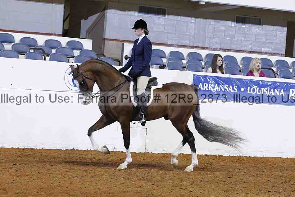 Proof 12r9_2873