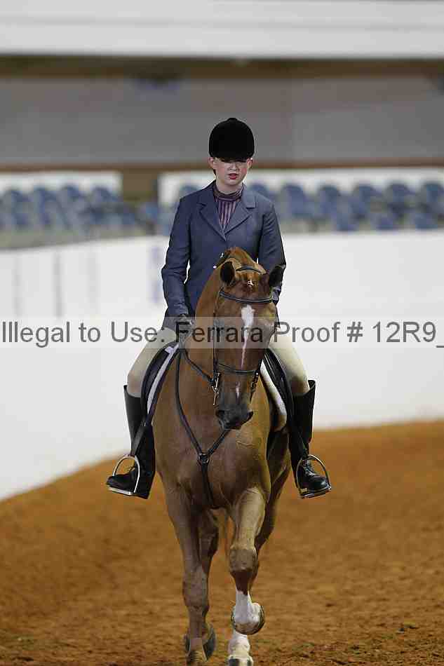 Proof 12r9_2876