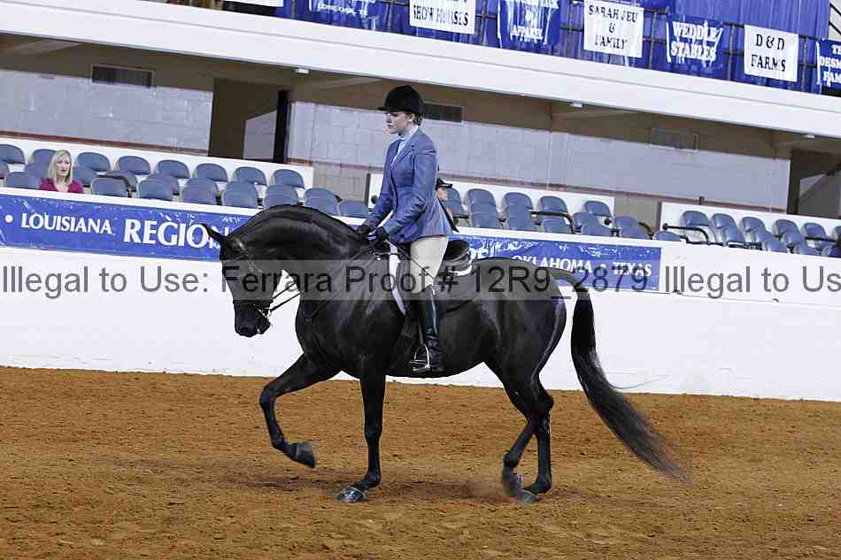 Proof 12r9_2879