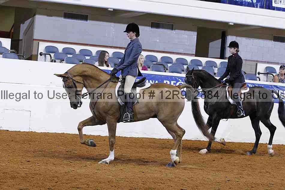 Proof 12r9_2884