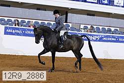 12r9_2886 proof