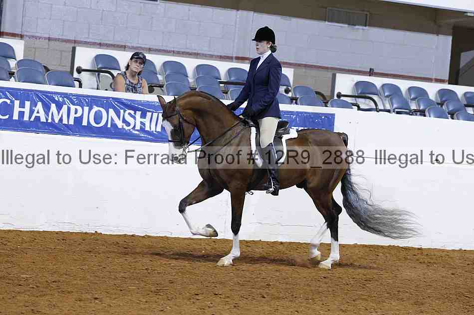 Proof 12r9_2888