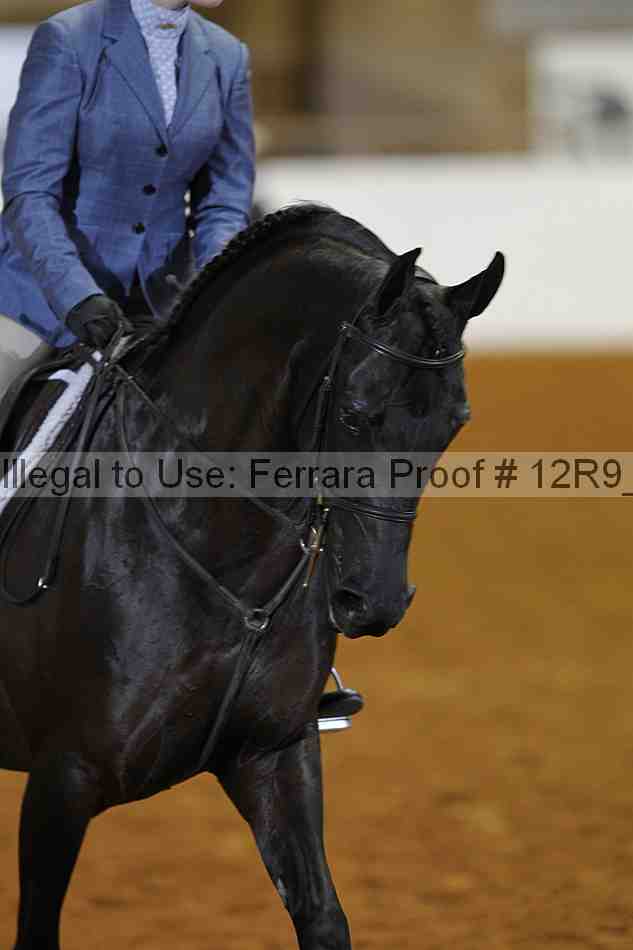 Proof 12r9_2889