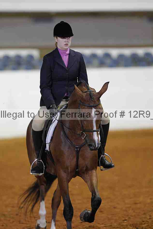 Proof 12r9_2891