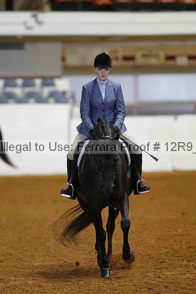 Proof 12r9_2893