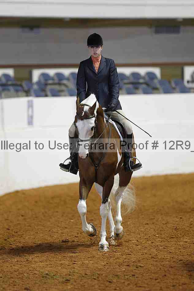 Proof 12r9_2895