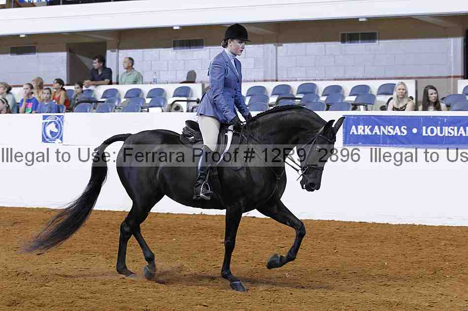 Proof 12r9_2896