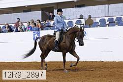 12r9_2897 proof