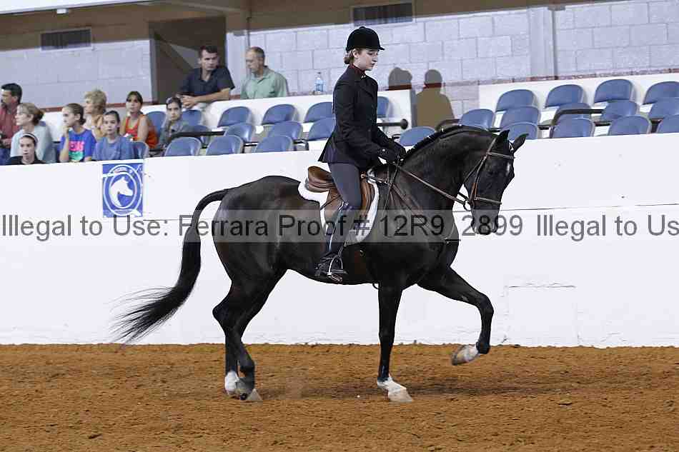 Proof 12r9_2899