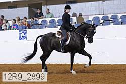 12r9_2899 proof