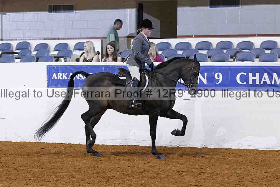 Proof 12r9_2900
