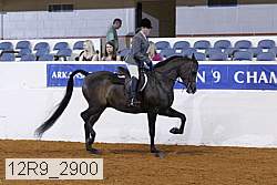 12r9_2900 proof