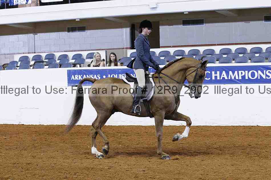 Proof 12r9_2902