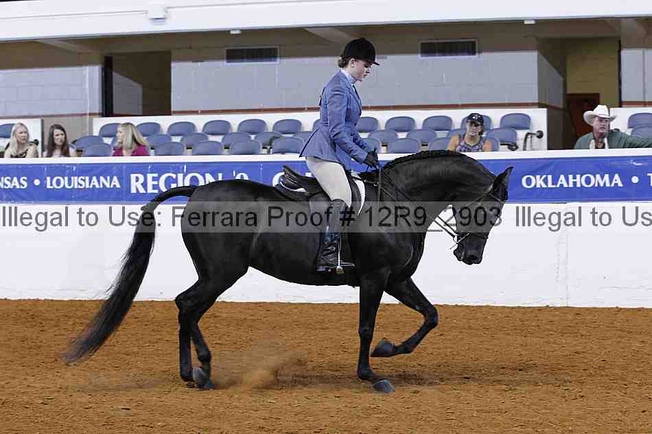 Proof 12r9_2903