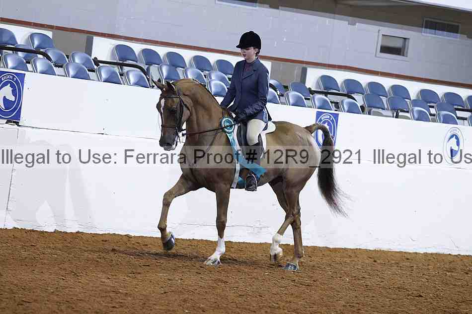 Proof 12r9_2921