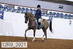 12r9_2921 proof