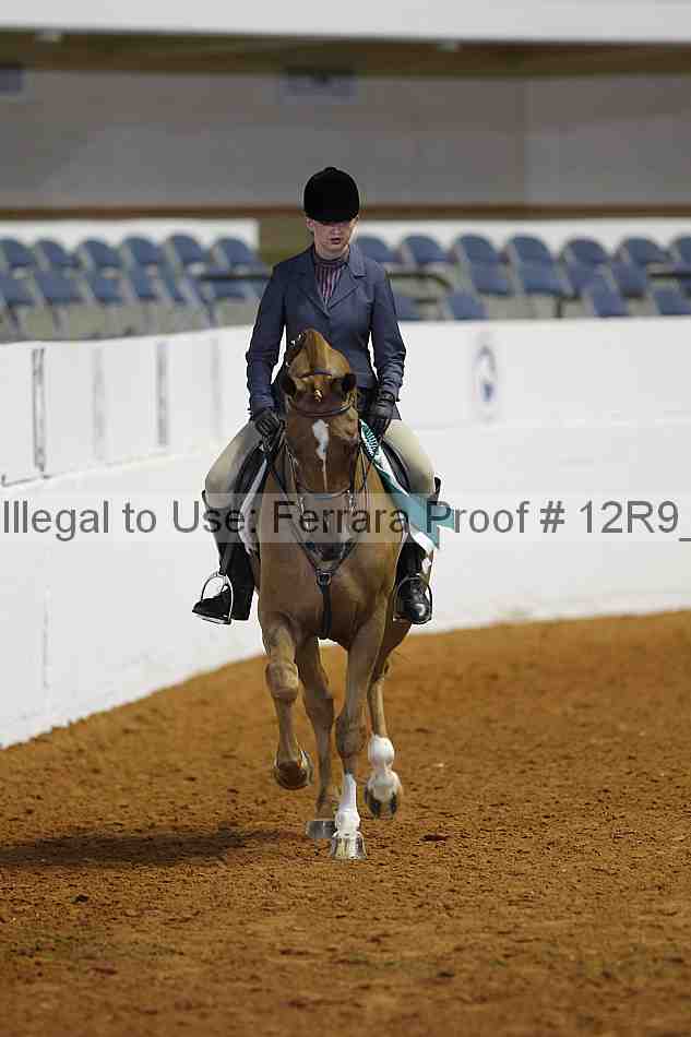 Proof 12r9_2938