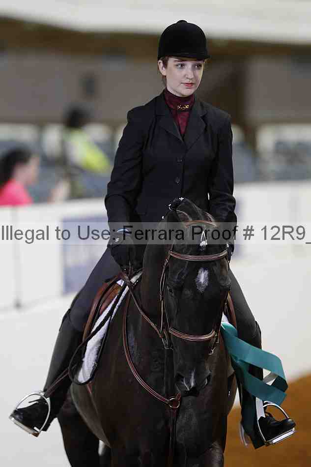 Proof 12r9_2945