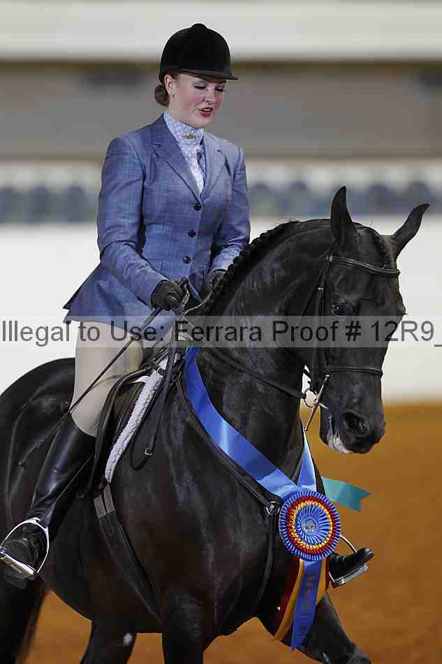 Proof 12r9_2952