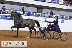 12r9_2960 proof