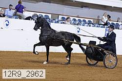 12r9_2962 proof