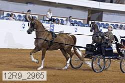 12r9_2965 proof