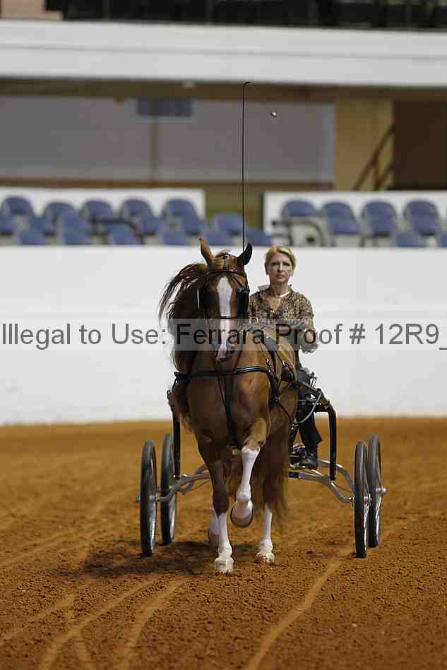 Proof 12r9_2969