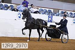 12r9_2970 proof